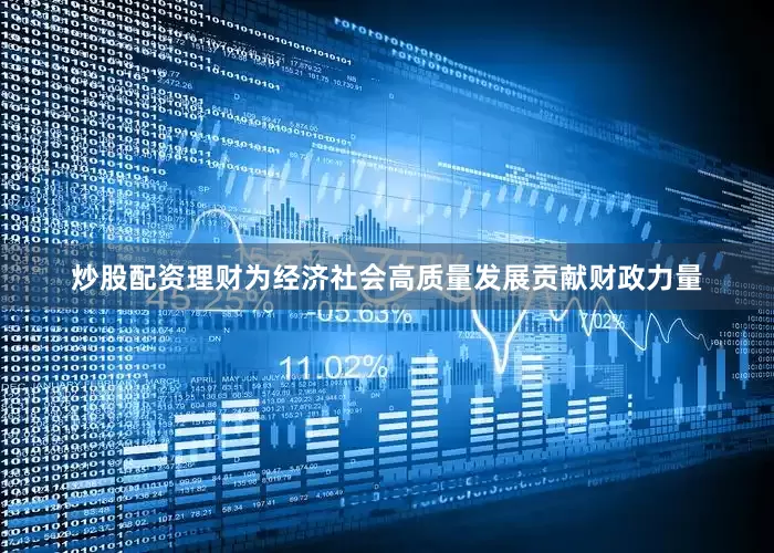 炒股配资理财为经济社会高质量发展贡献财政力量